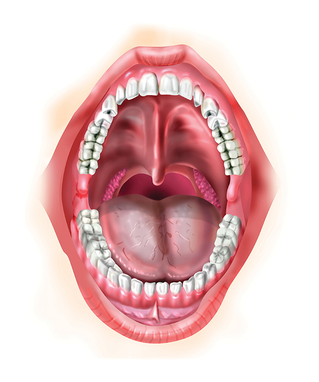 illustrasyon01