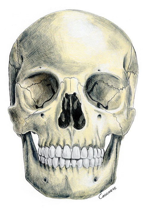 illustrasyon01