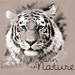 illustrasyon04