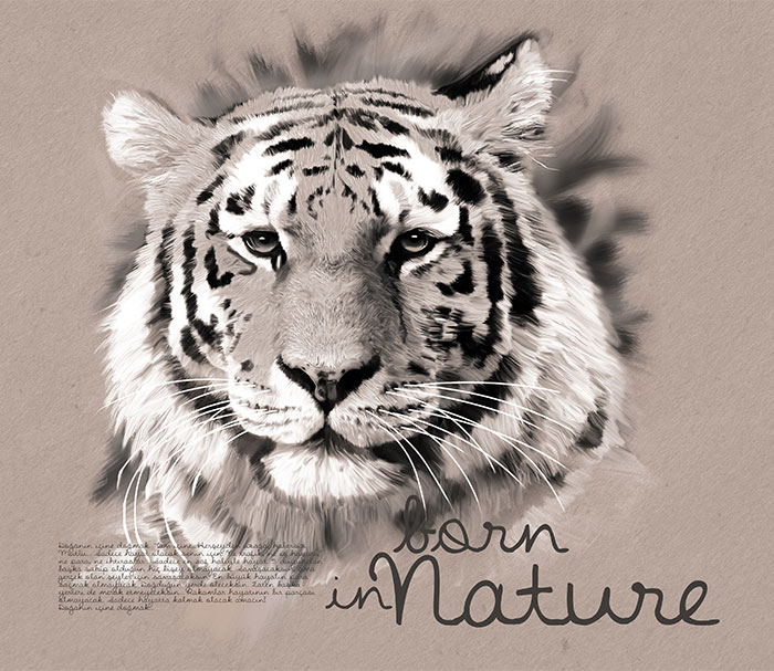 illustrasyon04